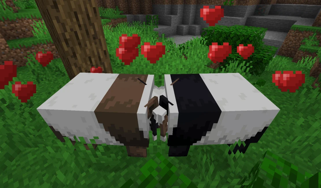 breed panda minecraft