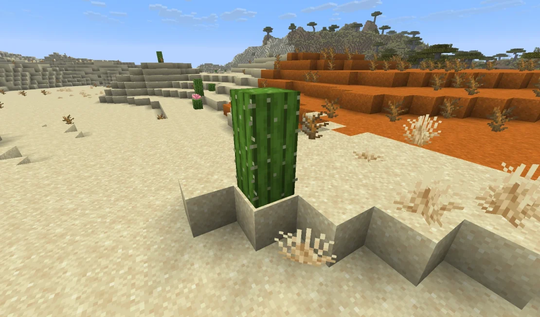 cactus block minecraft