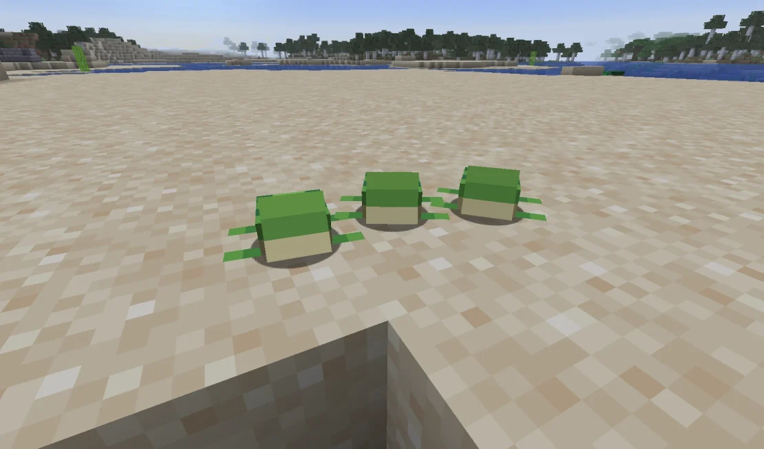 baby turtles minecraft