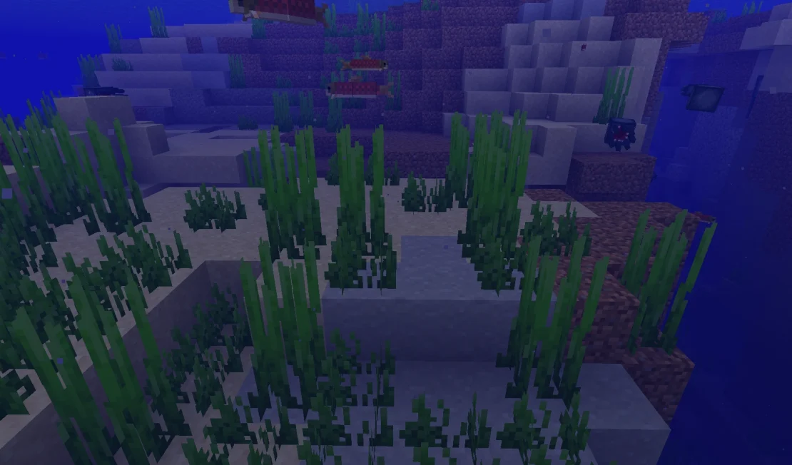 sea grass minecraft