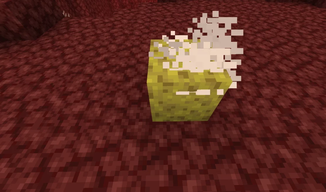 sponge in nether minecraft