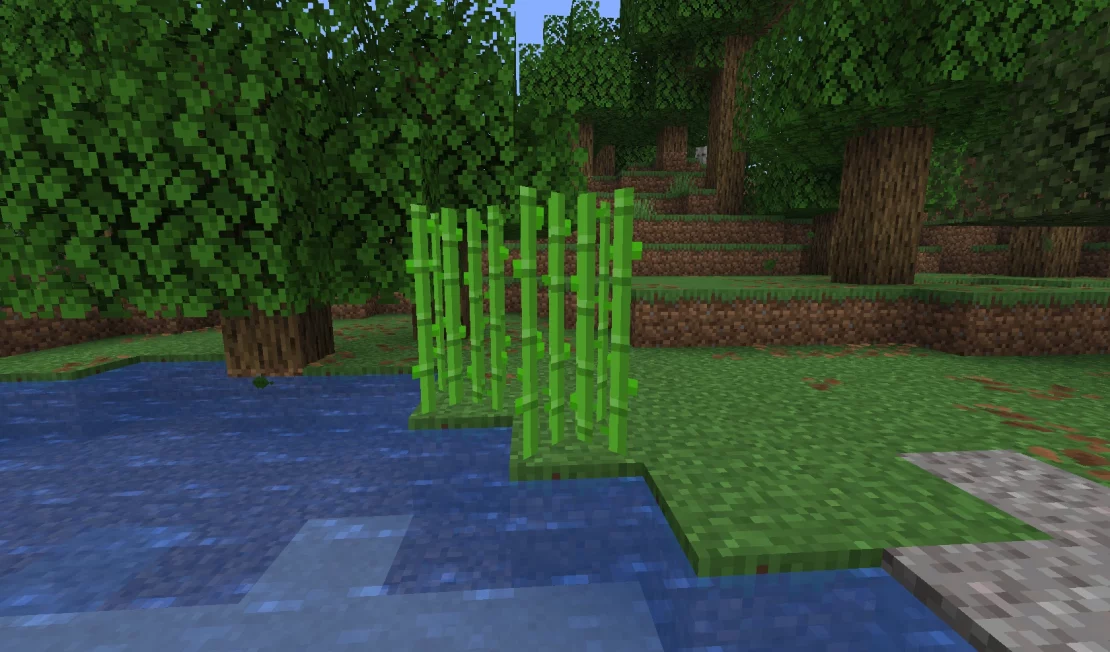 sugar cane minecraft