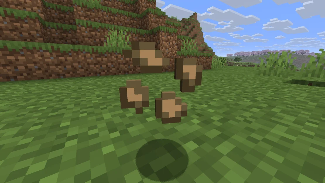 beetroot seeds minecraft