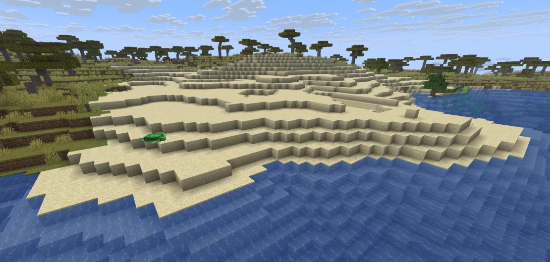 beach biome minecraft