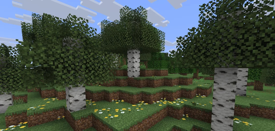 birch forest biome minecraft