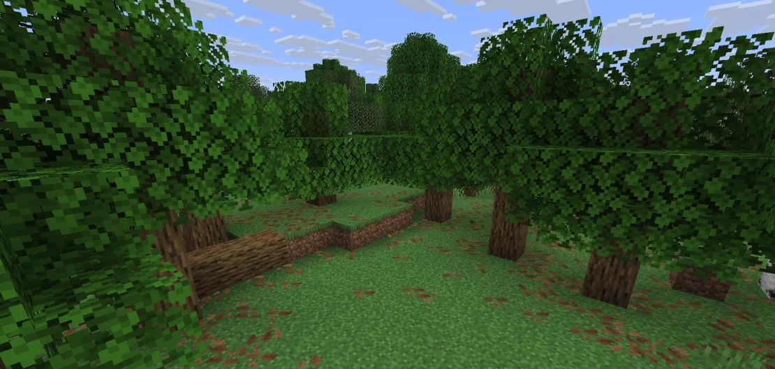 forest biome minecraft