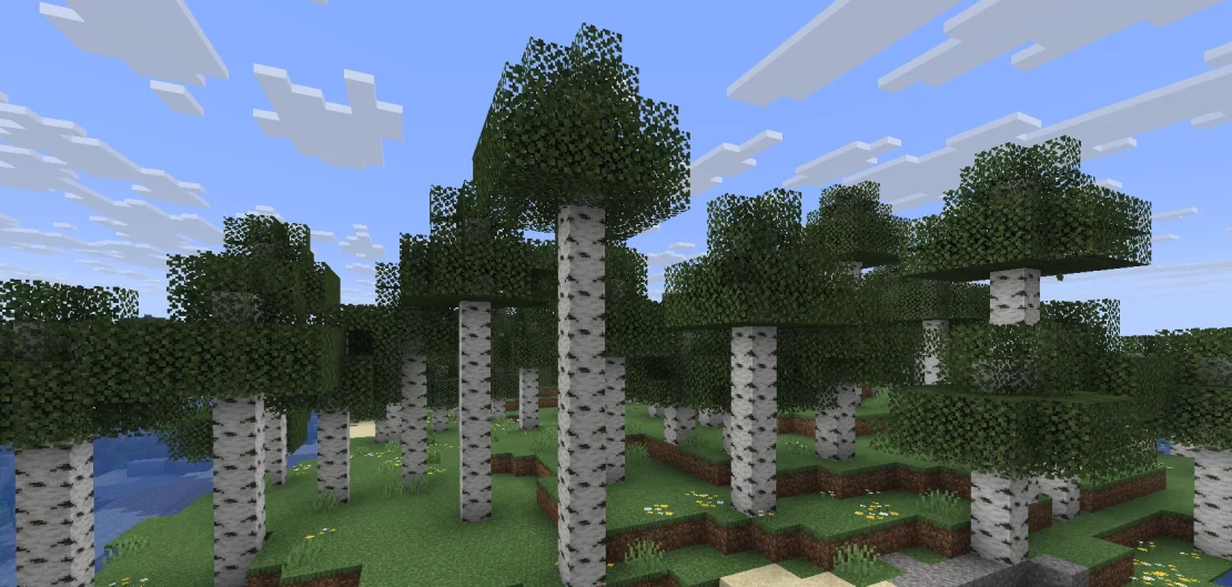 old growth birch forest biome minecraft