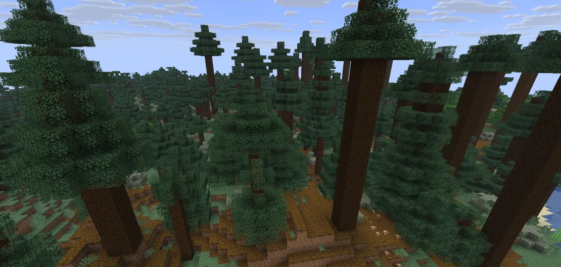 old growth pine taiga biome minecraft
