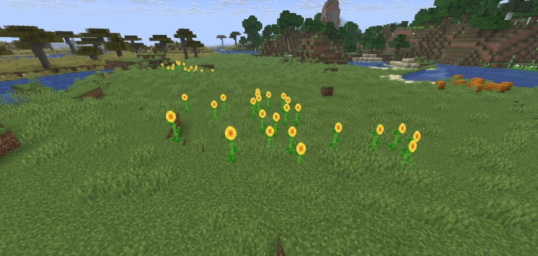 sunflower plains biome minecraft