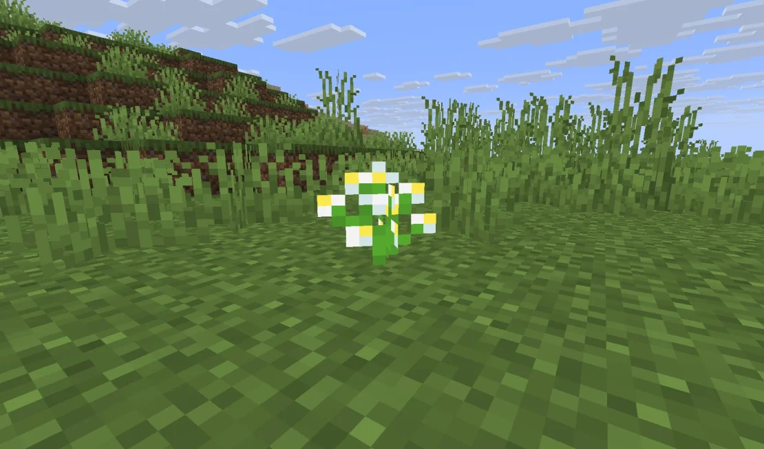 All Minecraft Flowers: A Complete Guide to Every Flower  Servers4Gamers