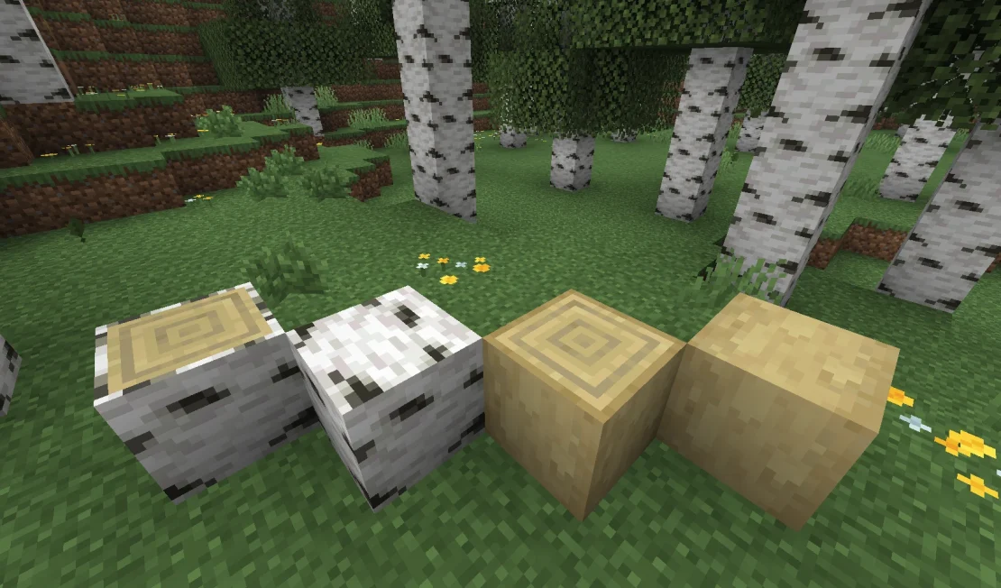 birch wood minecraft
