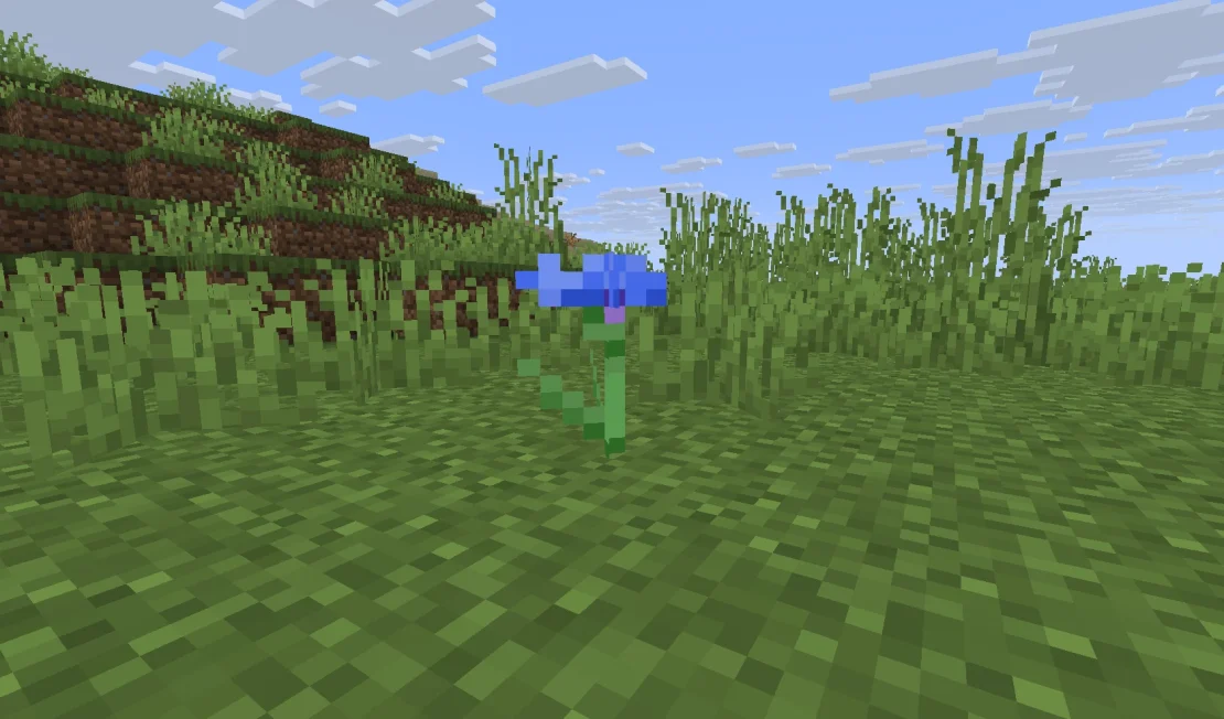 cornflower minecraft