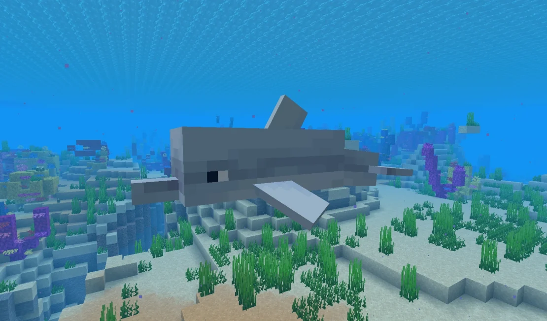 dolphin mob minecraft