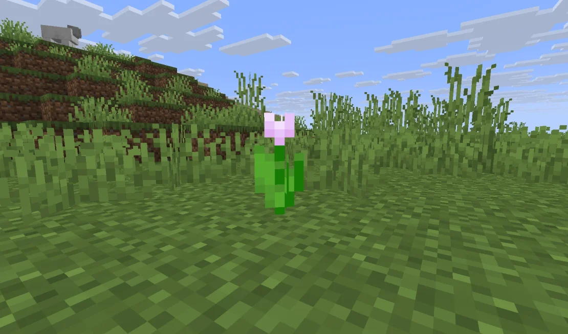 pink tulip flower minecraft