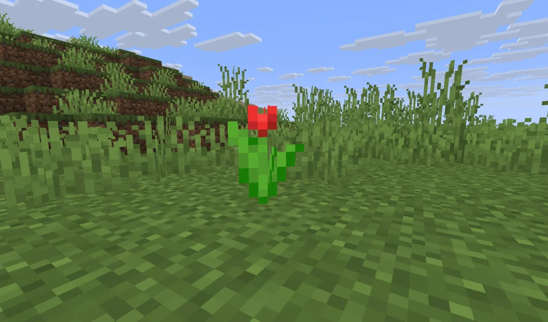 annie plants Little Annie