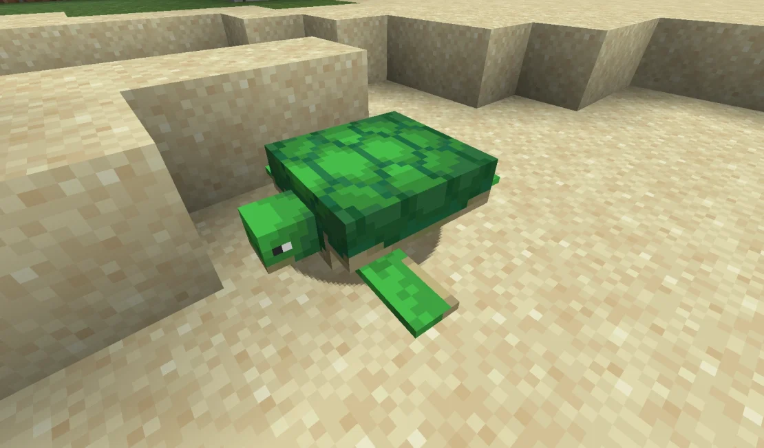 turtle mob minecraft