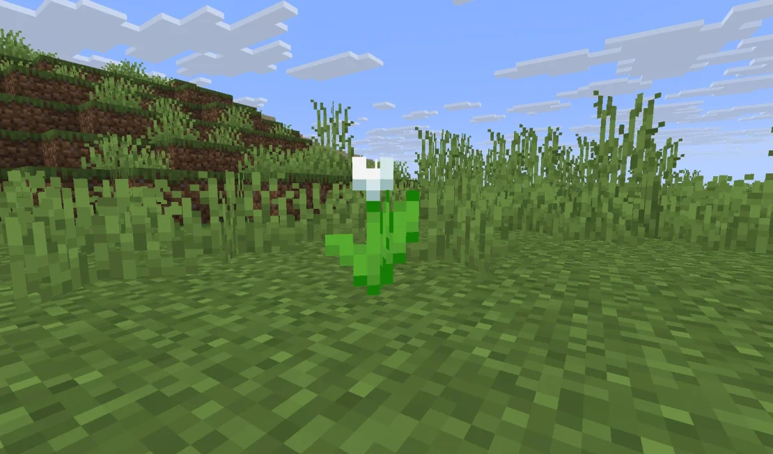 white tulip flower minecraft