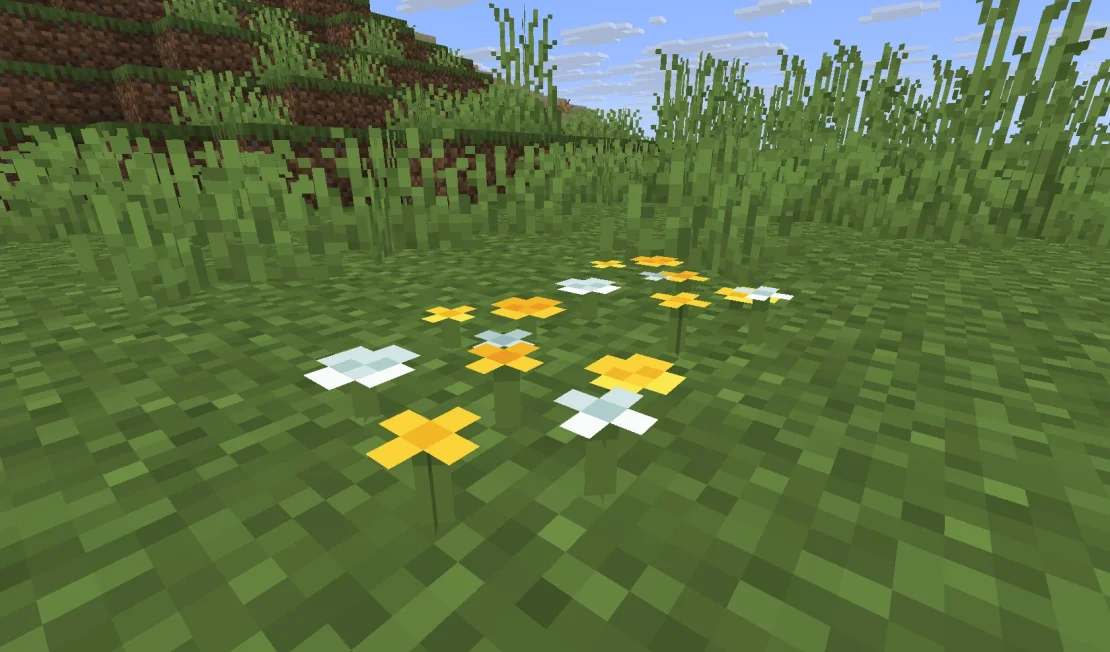 windflowers minecraft