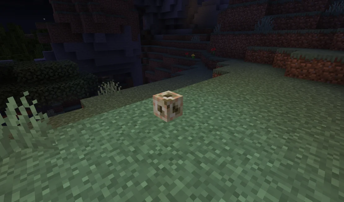 conduit block minecraft