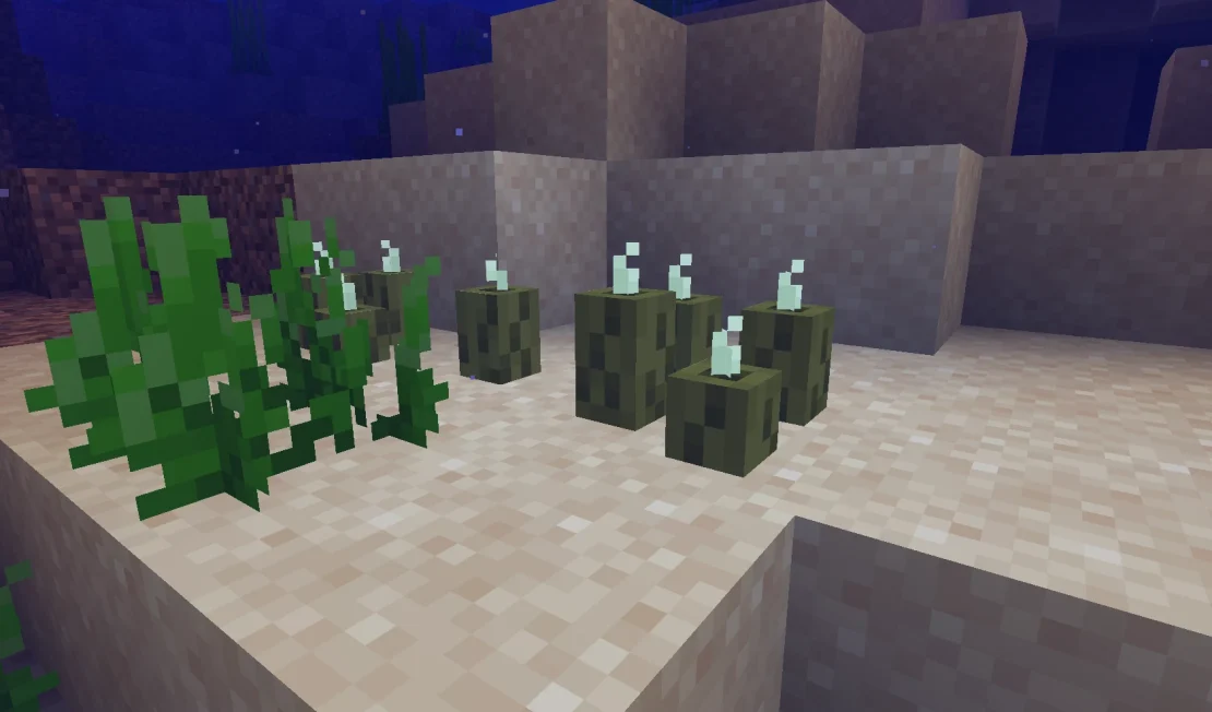 sea pickle block minecraft