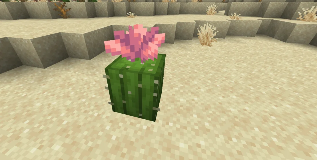 How to Grow Cactus in Minecraft  Servers4Gamers