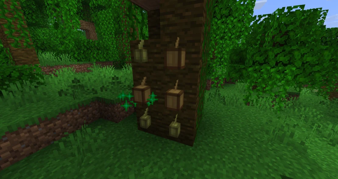 growing cocoa beans minecraft