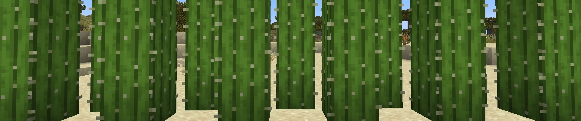 How to Grow Cactus in Minecraft  Servers4Gamers