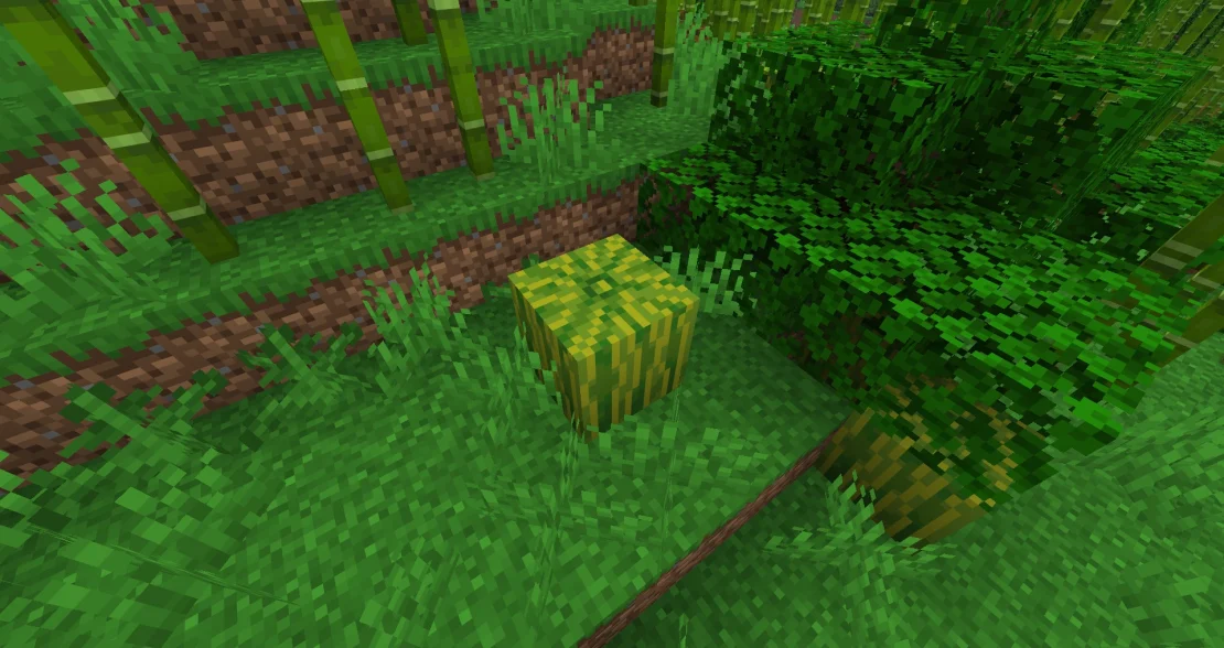 melon in minecraft
