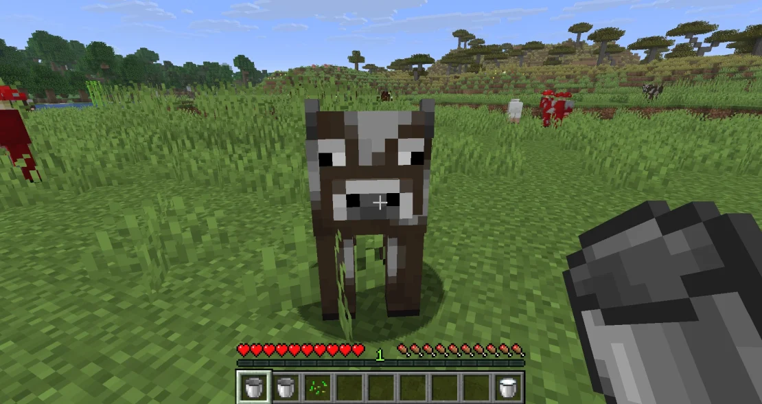 milking a cow in minecraft
