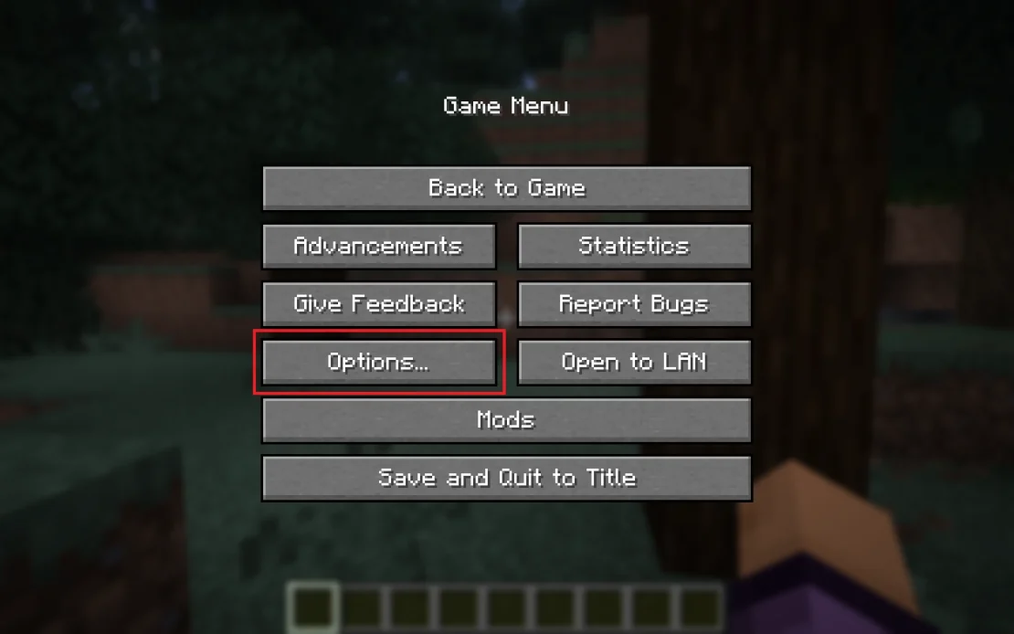 minecraft options