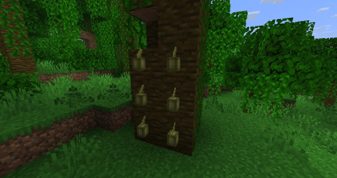 planting cocoa beans in minecraft