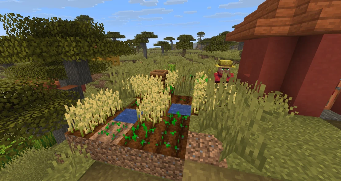 wheat crop in minecraft