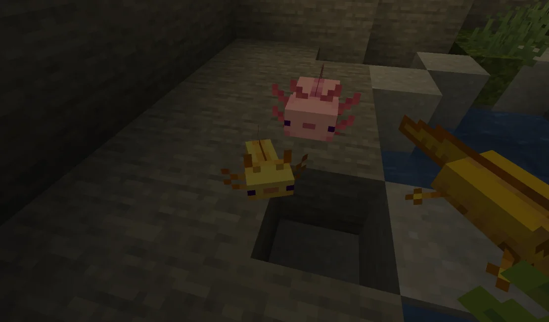 baby axolotl minecraft