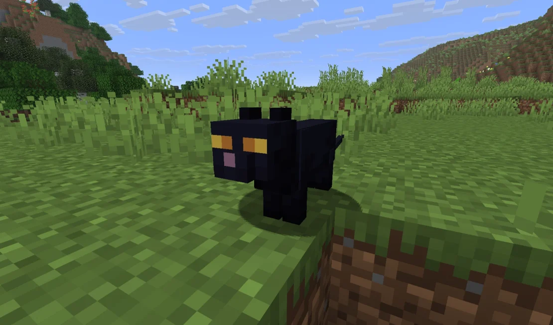black cat minecraft