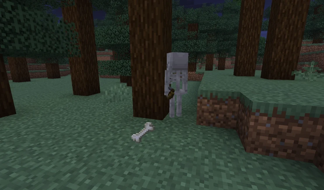 bone minecraft
