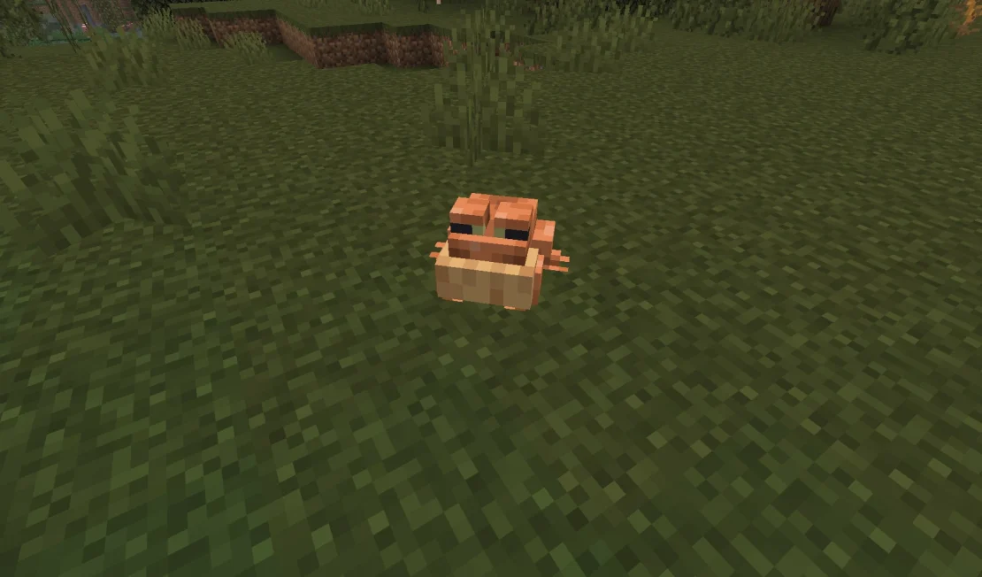 frog minecraft