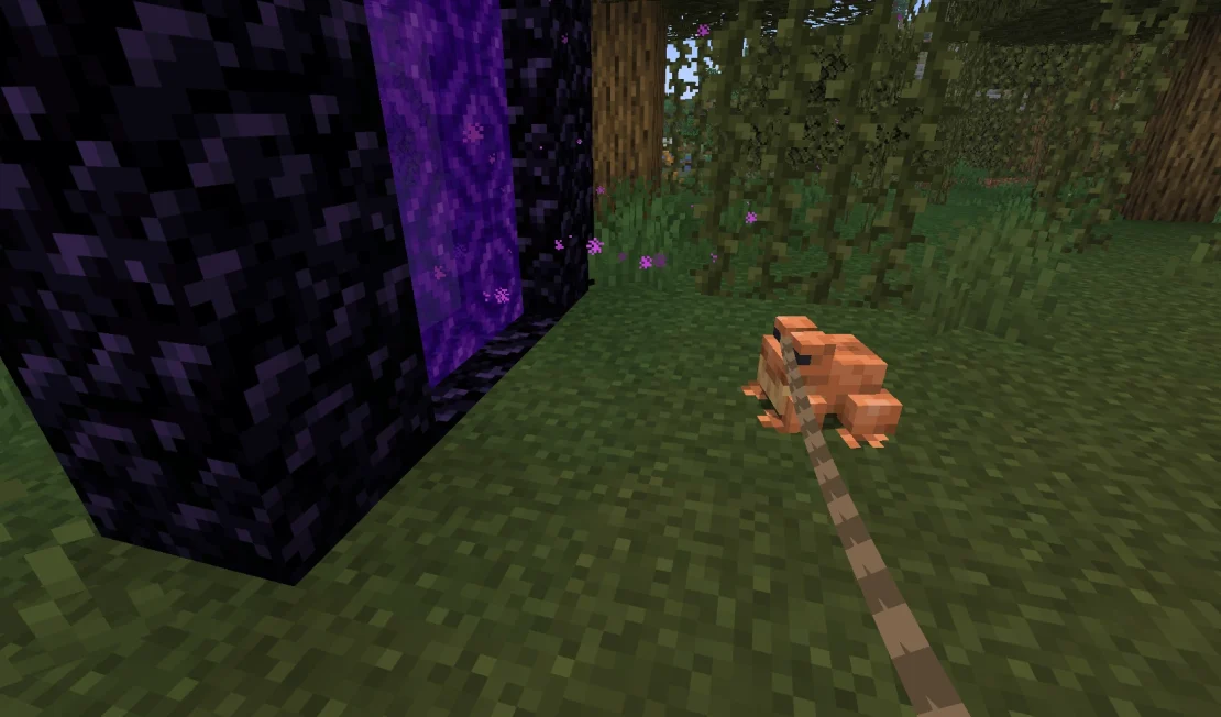 frog with nether portal minecraft