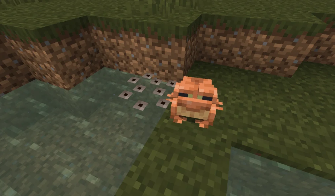 frogspawn minecraft