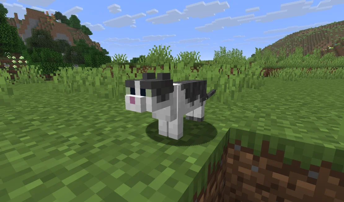 jellie cat minecraft