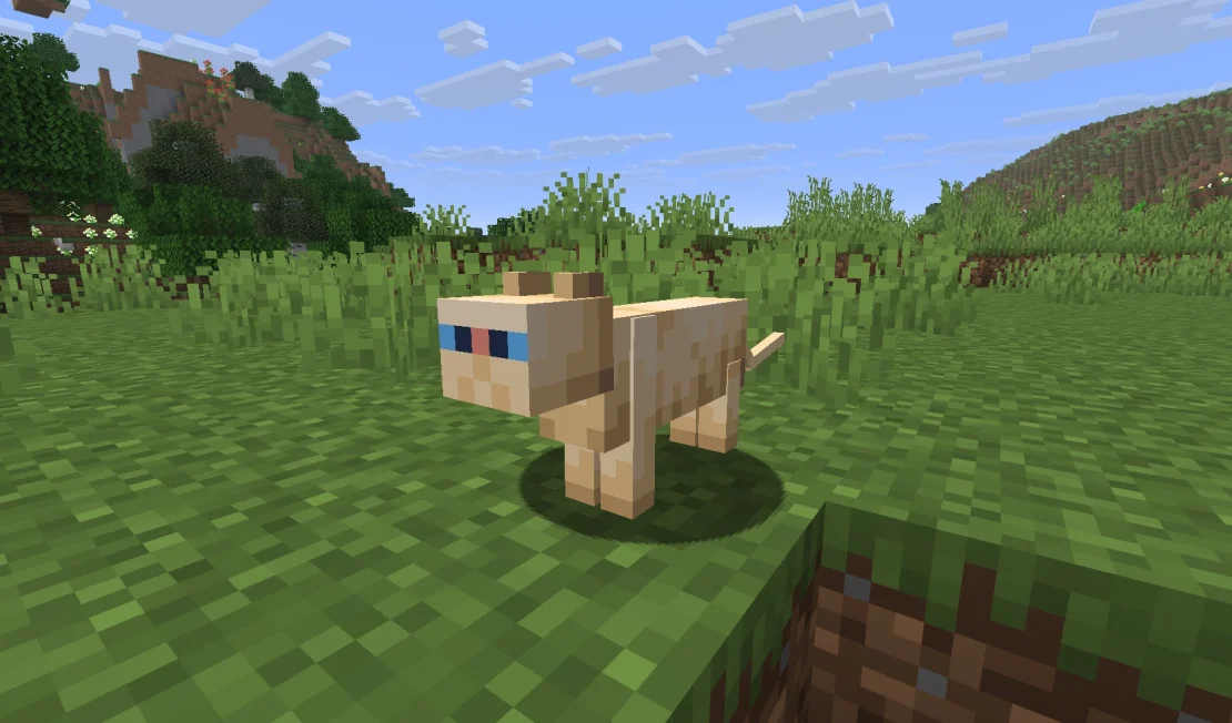 persian cat minecraft