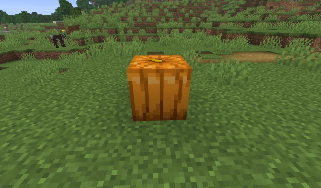 pumpkin minecraft
