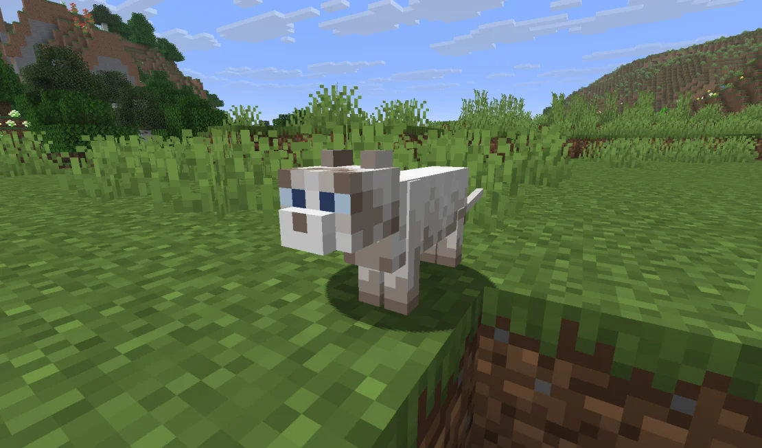 ragdoll cat minecraft