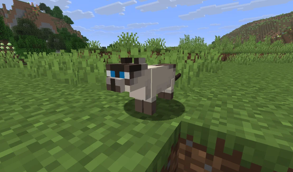 siamese cat minecraft
