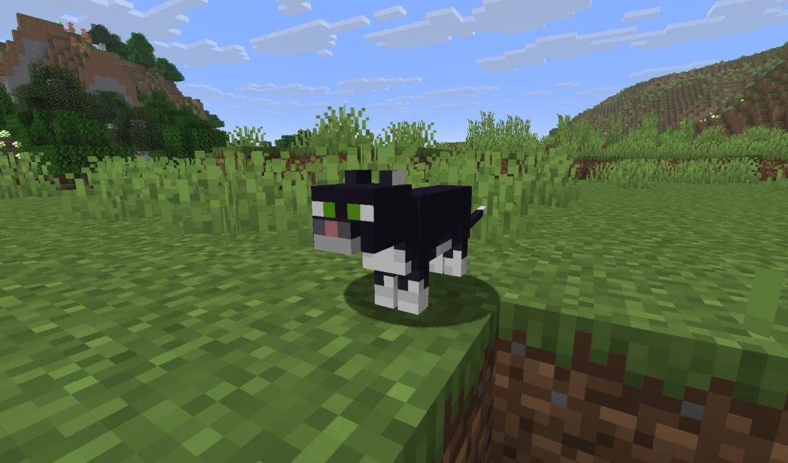 tuxedo cat minecraft