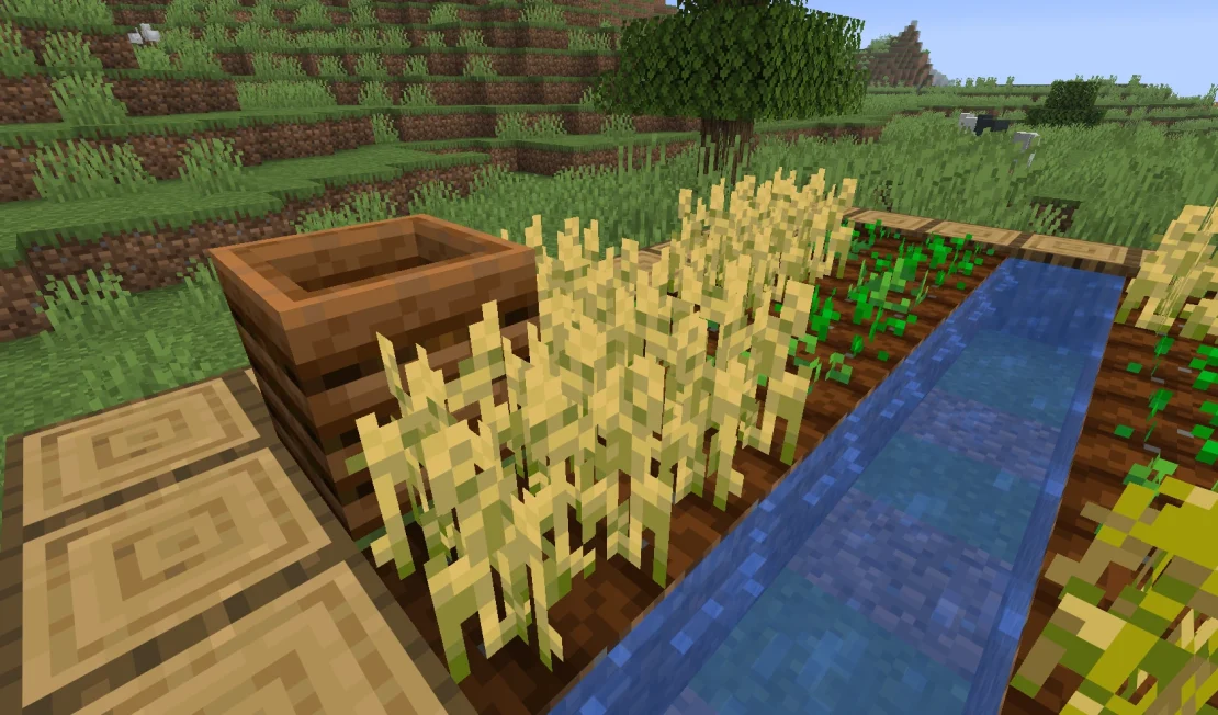 wheat minecraft