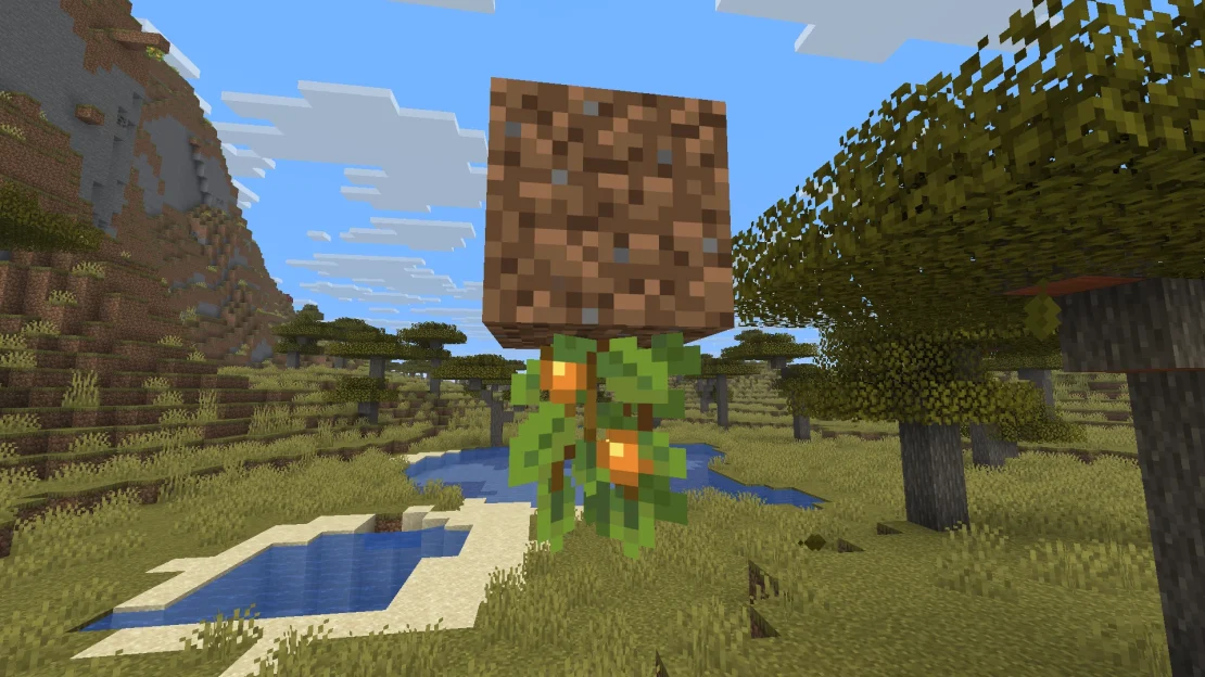 cave vines with glow berries minecraft