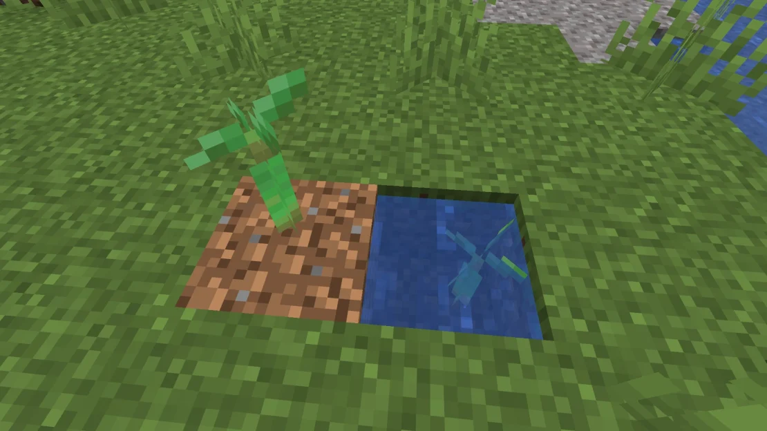 mangrove tree sapling minecraft