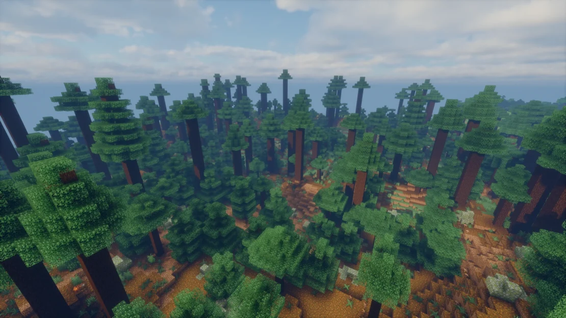Old Growth Pine Taiga biome with an Ancient City hidden beneath spawn in Minecraft