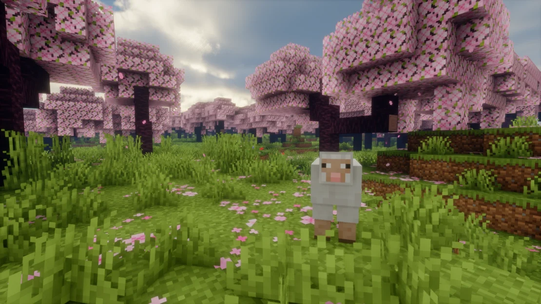 Massive cherry grove forest filled with pink cherry blossom trees in Minecraft