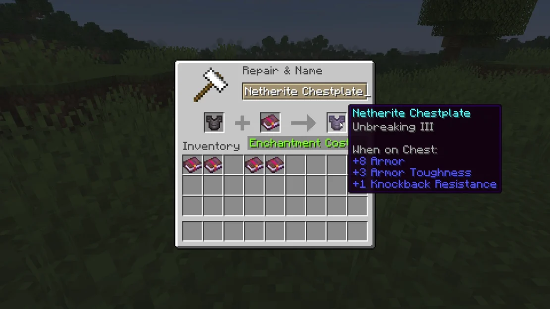 chestplate with unbreaking enchantment minecraft